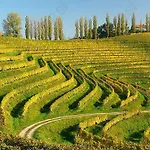 Guest house Hisa Divino Ptuj