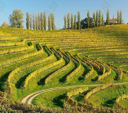 Gasthuis Hisa Divino Ptuj