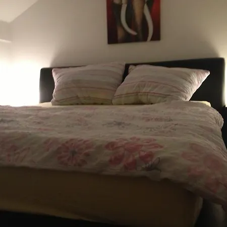 Hisa Divino Hiša za goste