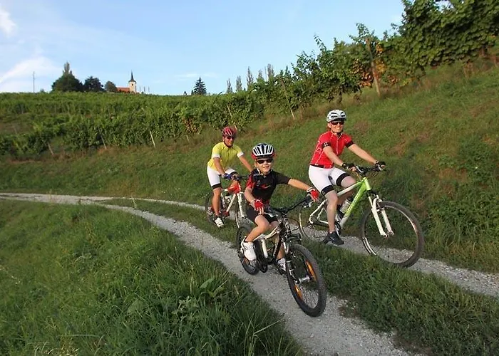 Hisa Divino Гостевой дом Птуй